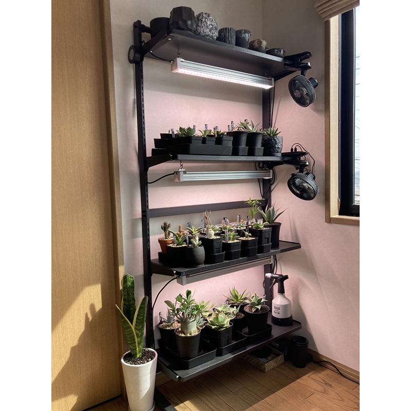 遠赤入植物育成ライト ハレルヤ Jr. 60W LEDライト ハレルヤジュニア 補光 光合成 育成ライト 観葉植物育成に 日照不足解消 曇天時に ホーグス 代引不可 |  | 04