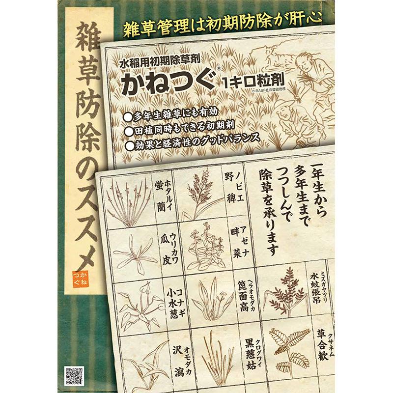 かねつぐ1キロ粒剤 12kg 水稲用初期除草剤 農薬 OATアグリオ Vデ 個人宅配送不可 代引不可 |  | 01