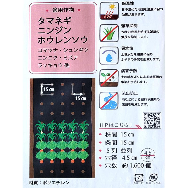 イワタニ 菜園用 穴あき 黒マルチ 9515 0.02mm×95cm×50m オニオンマルチ たまねぎ にんじん ほうれんそう 用 国産 岩谷マテリアル 日A DZ |  | 04