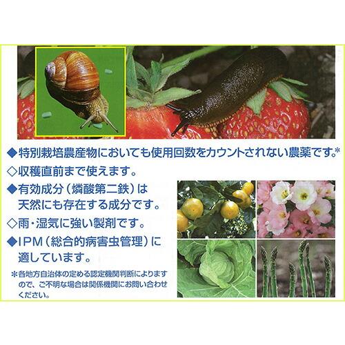 殺虫剤 スラゴ 粒剤 450g ナメクジ 駆除 OATアグリオ Vデ 代引不可 産直 |  | 01