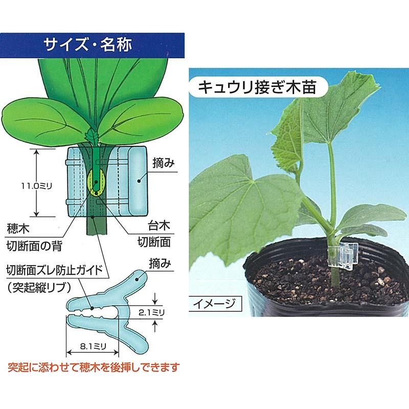 200個 クリアピンチM CPM-P02 小袋 家庭用 接ぎ木保持具 方葉合わせ接木用 キュウリ スイカ ゴーヤ 等 シーム タS DZ |  | 03