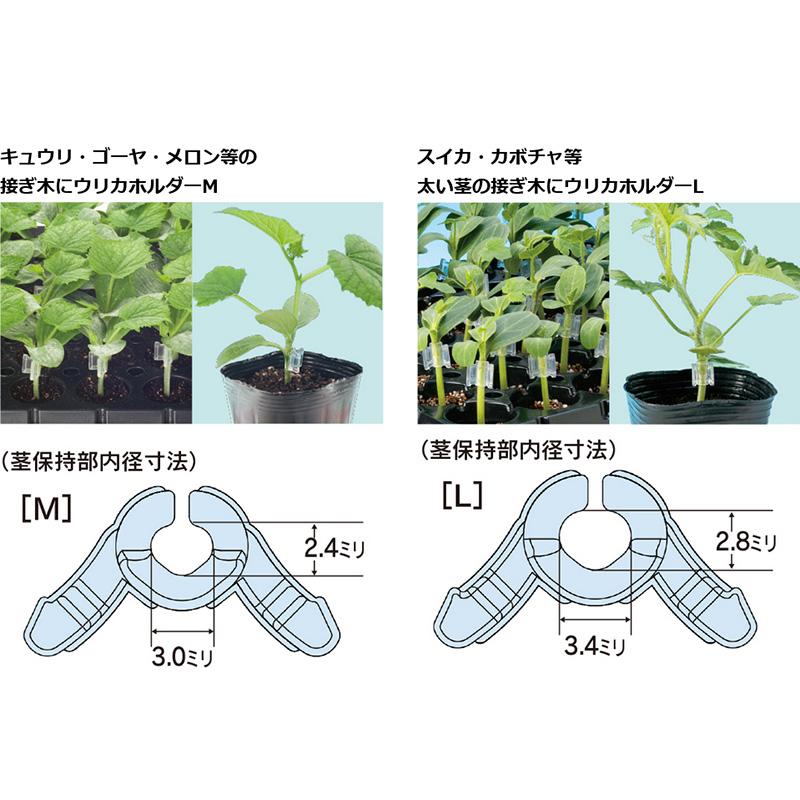 200個 ウリカホルダーM UHM-P02 小袋 家庭用 接ぎ木保持具 方葉合わせ接木用 キュウリ メロン ゴーヤ 等 シーム タS DZ |  | 02