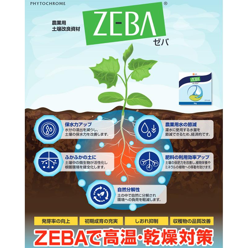 4袋 ZEBA 5kg ゼバ 農業用土壌改良資材 高温対策 乾燥対策 バイオスティミュラント資材 ファイトクローム 新ク DZ |  | 01