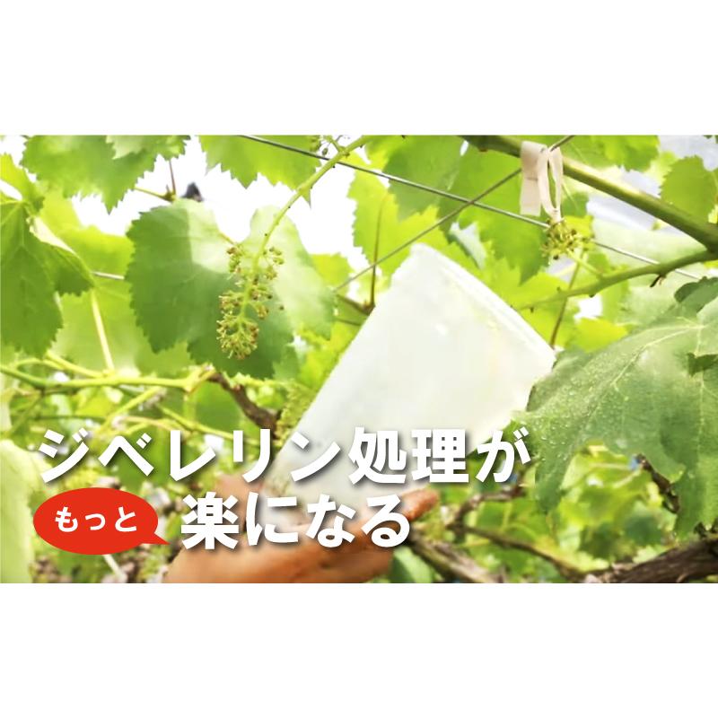 新商品／ らくらくカップ3 特大 ジベレリン 処理器 本体 ぶどう 巨峰