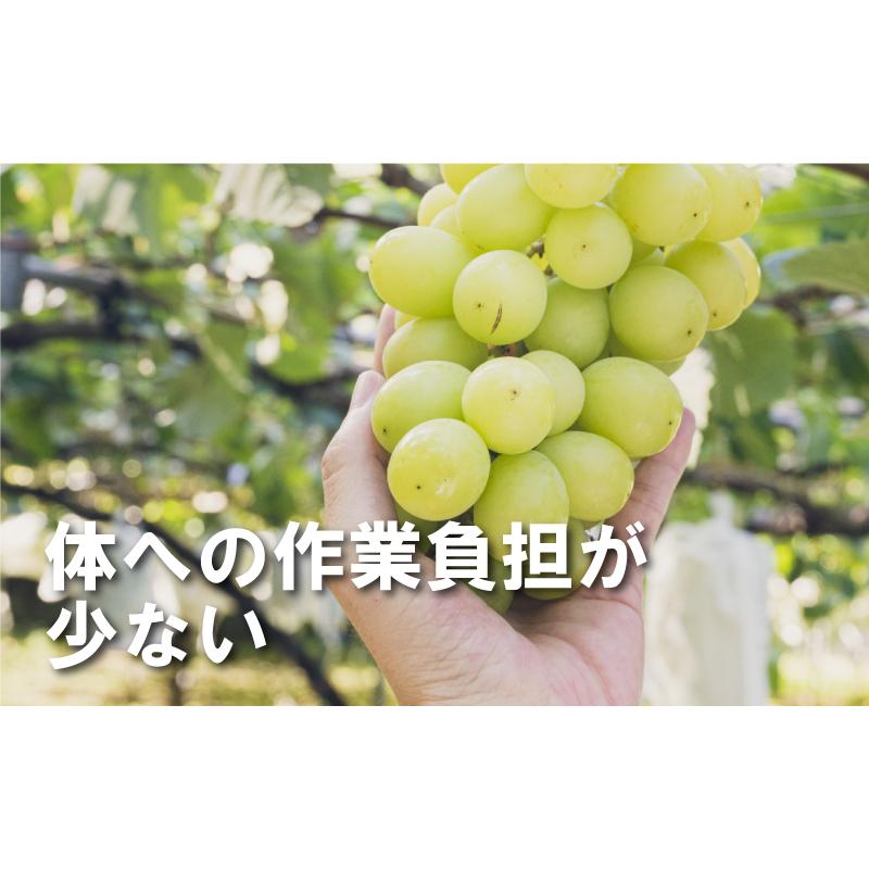 ＼新商品／ らくらくカップ3 特大 ジベレリン 処理器 本体 ぶどう 巨峰 マスカット 種なし ジベ処理 機械 散布 噴霧器 ラクラクカップ 中川製作所 タSDZ |  | 02