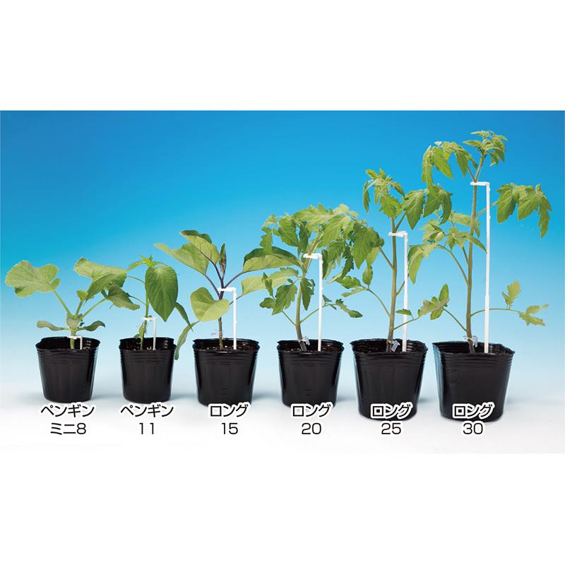 サポートペンギン11 黒 SPP 11cm-B10 100本 支柱一体型 苗 倒れ防止 保持具 シーム タS DZ |  | 03