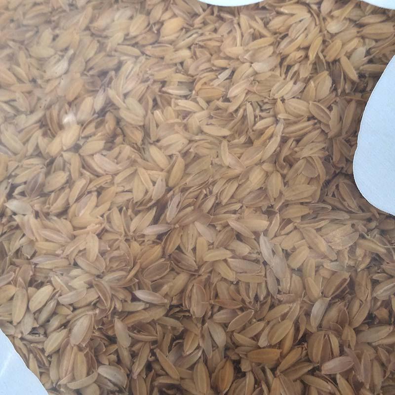 3袋 もみ殻 50L 土壌改良剤 マルチング材 緩衝材 として 籾殻 もみがら 吉原商店 D |  | 01