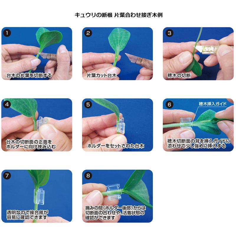 1000個 ウリカホルダーM UHM-10 接ぎ木保持具 方葉合わせ接木用 キュウリ メロン ゴーヤ 等 シーム タS DZ |  | 04