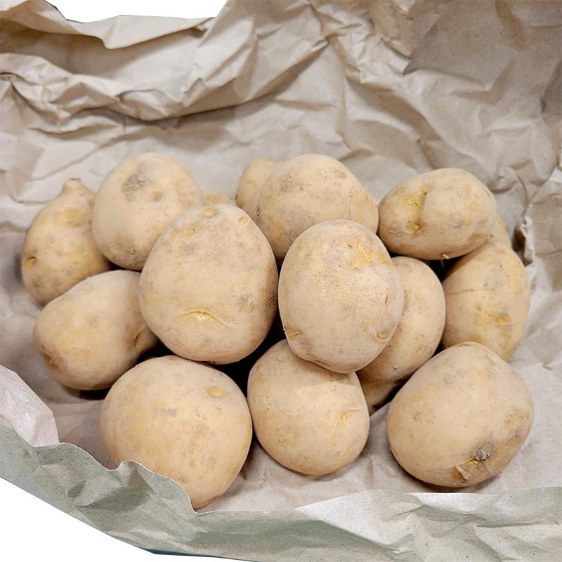 5kg 種芋 普賢丸 混玉 ジャガイモ ふげんまる じゃがいも 栽培用 秋ジャガ 吉S DZ (登録品種名:普賢丸) | 