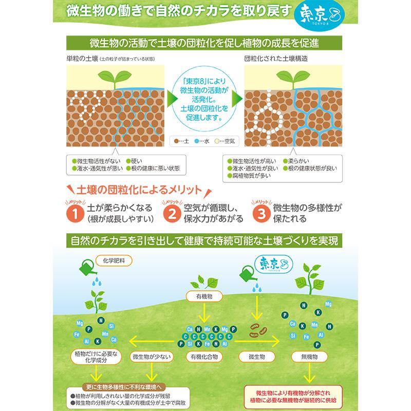 東京8 2L バイオスティミュラント 東京エイト 太陽油化 野菜 家庭菜園 有機農業 微生物 液体肥料 タS DZ |  | 04