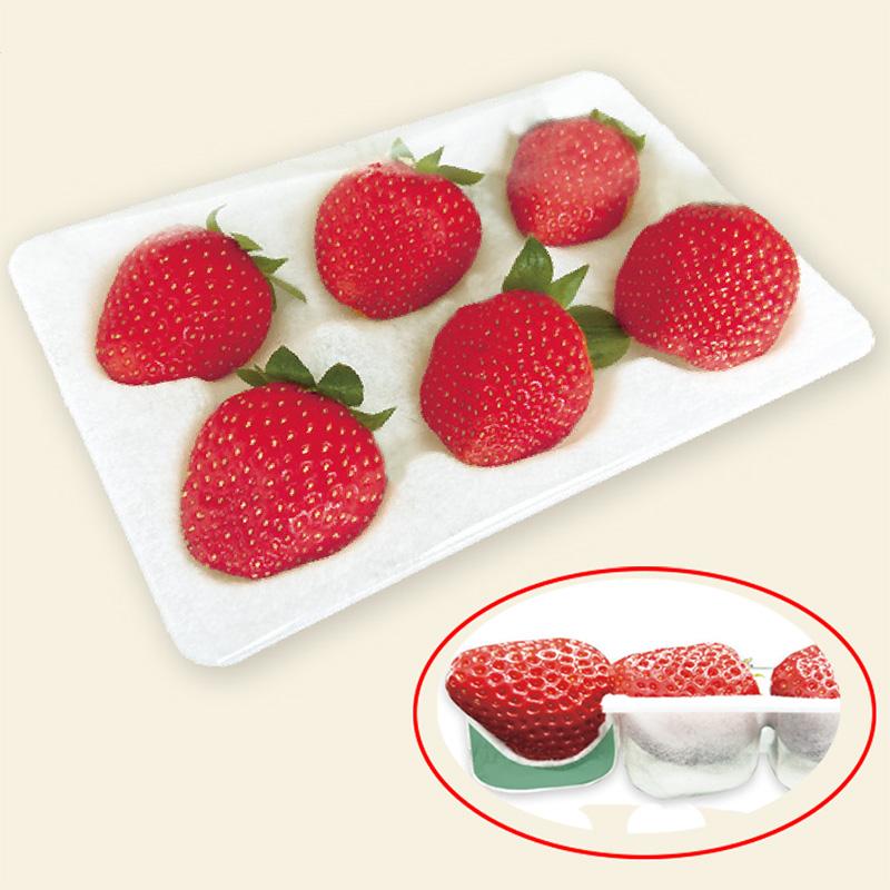 300枚 いちごハンモックトレー 133×200mm 本体 穴数選択 コバヤシ イチゴトレー 苺 パック いちご 不織布 通気性抜群 贈答用 輸出用 緩衝 日A 代引不可 | 