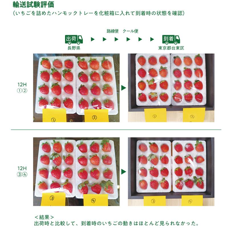 300枚 いちごハンモックトレー 133×200mm 本体 穴数選択 コバヤシ イチゴトレー 苺 パック いちご 不織布 通気性抜群 贈答用 輸出用 緩衝 日A 代引不可 |  | 03