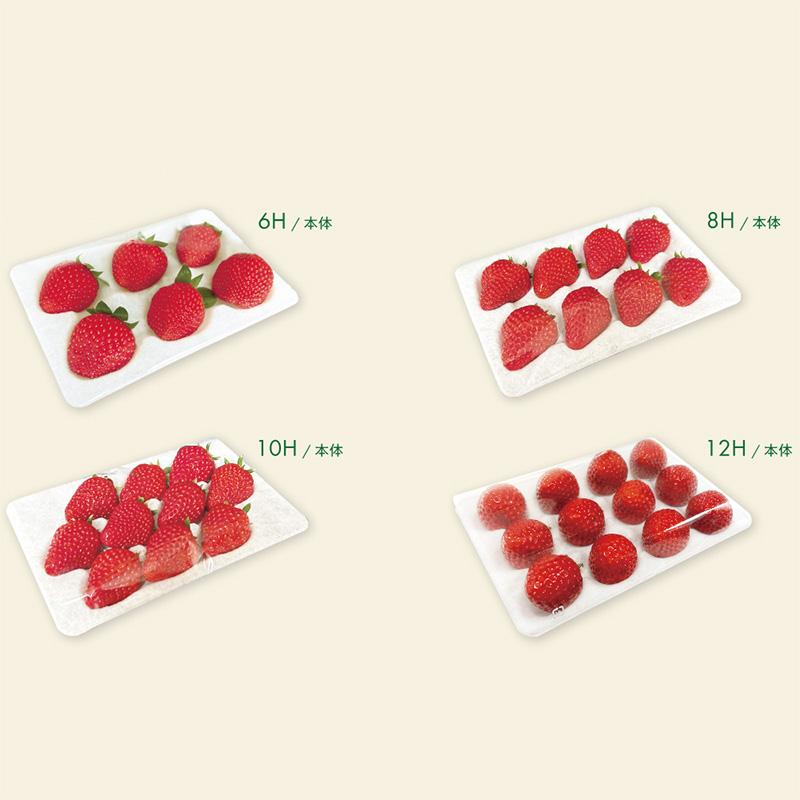 300枚 いちごハンモックトレー 133×200mm 本体 穴数選択 コバヤシ イチゴトレー 苺 パック いちご 不織布 通気性抜群 贈答用 輸出用 緩衝 日A 代引不可 |  | 06