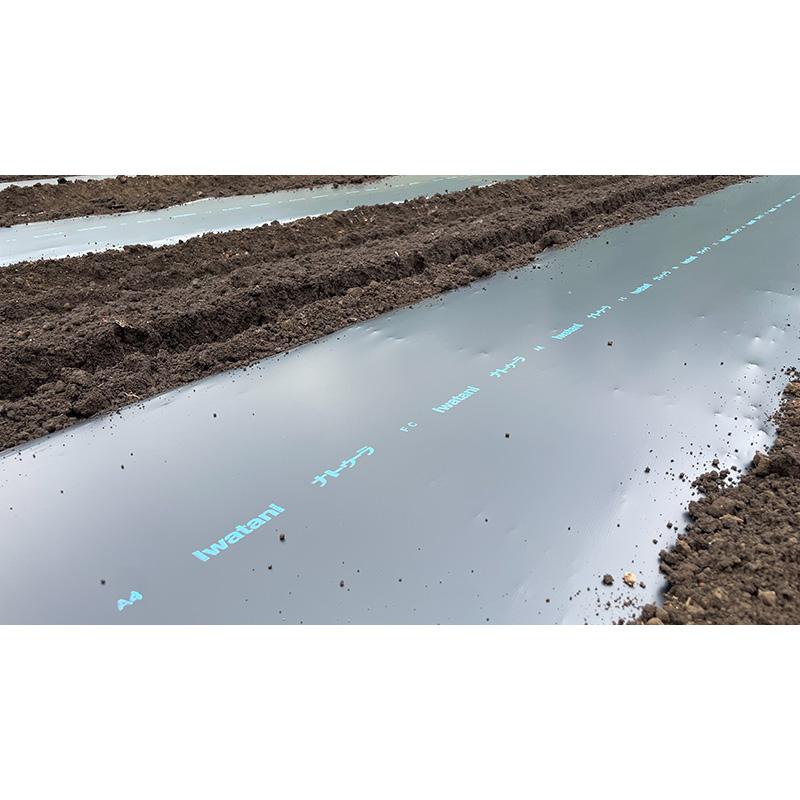 ＼予約販売／ 生分解性マルチフィルム ナトゥーラ 黒 無孔 0.018mm×135cm×200m 生分解 マルチ 岩谷マテリアル イワタニ DZ |  | 02