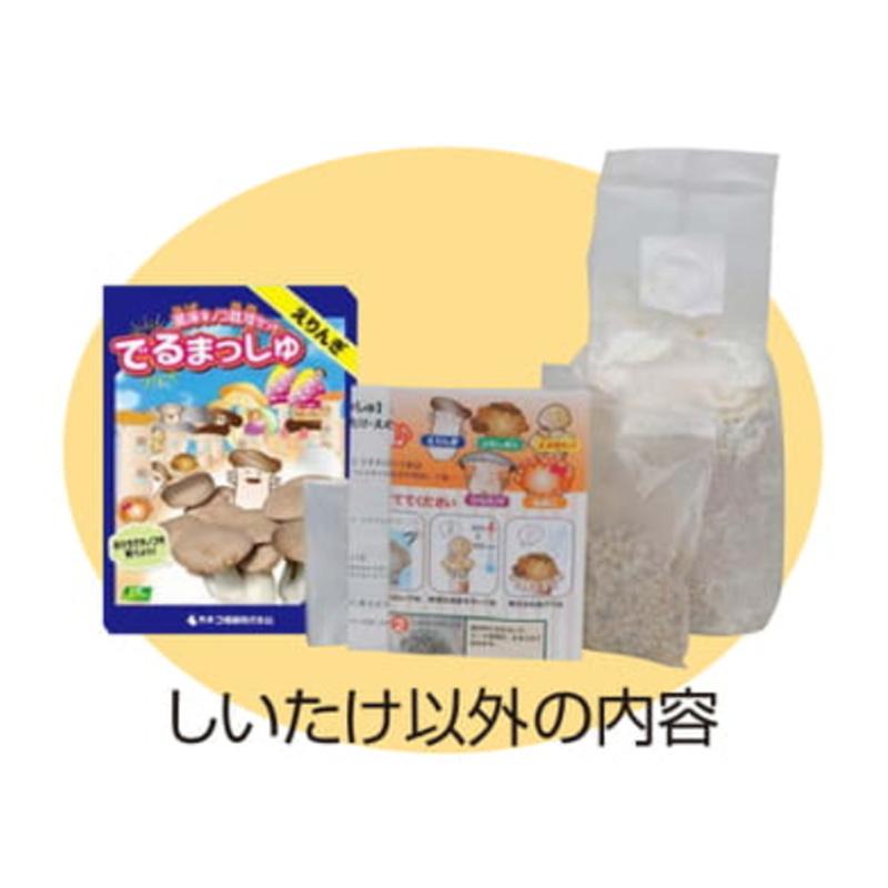 菌床きのこ栽培セット でるまっしゅ えりんぎ カネコ種苗 エリンギ 栽培キット キノコ栽培 DZ |  | 03