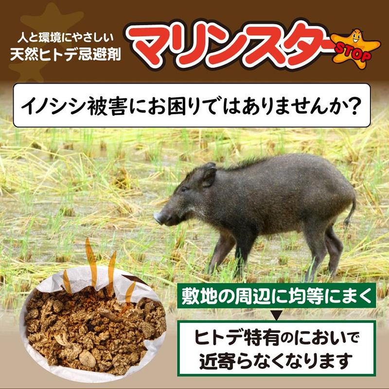 海星 マリンスター 20L 10kg グリーンパワー 忌避剤 ヒトデ 防獣対策 防鳥対策 イノシシ 鹿 中GH |  | 02