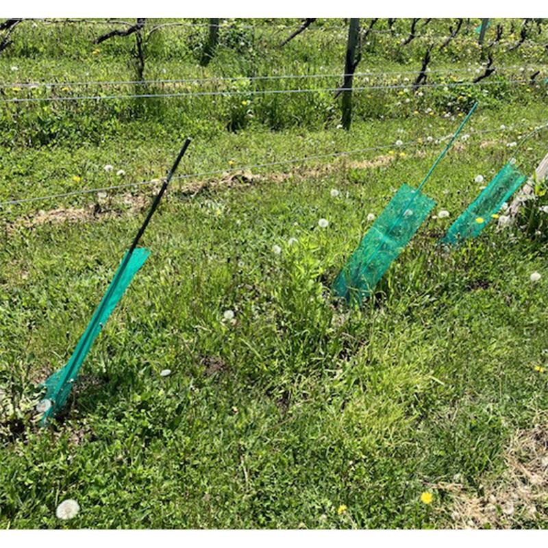 苗木用ネット 500枚  直径12cm×60cm 日鉄物産ワイヤ＆ウェルディング 害獣対策 湿気対策 苗カバー 苗木カバー 代引不可 |  | 01