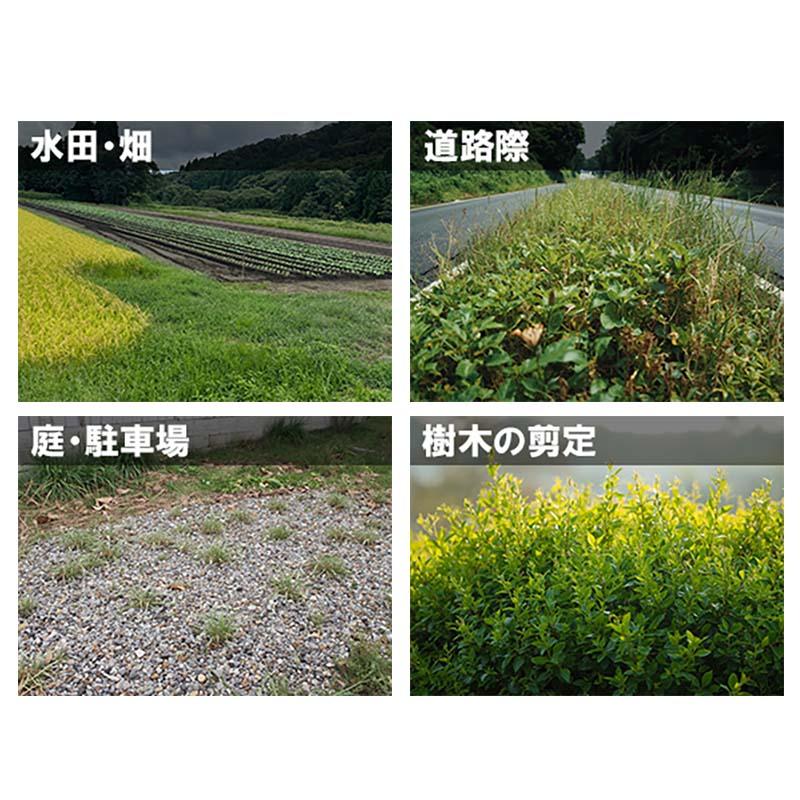 刈払機用アタッチメント 無双トリマーブレード MUSOU L310 ギヤケース付ASSY 0671 三陽金属 ブレード 草刈り機 草刈 刈払機 農業 農業用品 三冨 D |  | 05