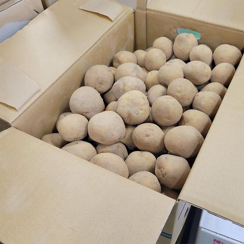 3kg 種芋 とうや M玉 ジャガイモ じゃがいも栽培用 吉S DZ (登録品種名:とうや) |  | 01