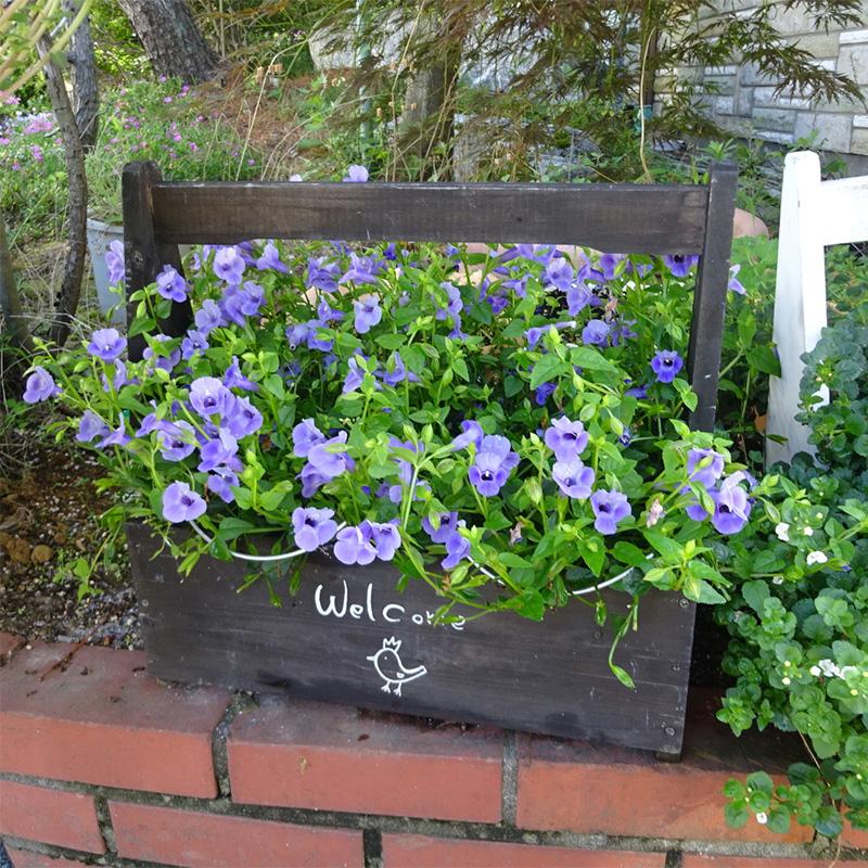 フラワーガード 接続ジョイント付 401-1 (5本1組) 幅12×高さ18×奥3cm  庭 風対策 花ささえ 園芸 支柱 鉢植え プランター ガーデニング 小KD |  | 05