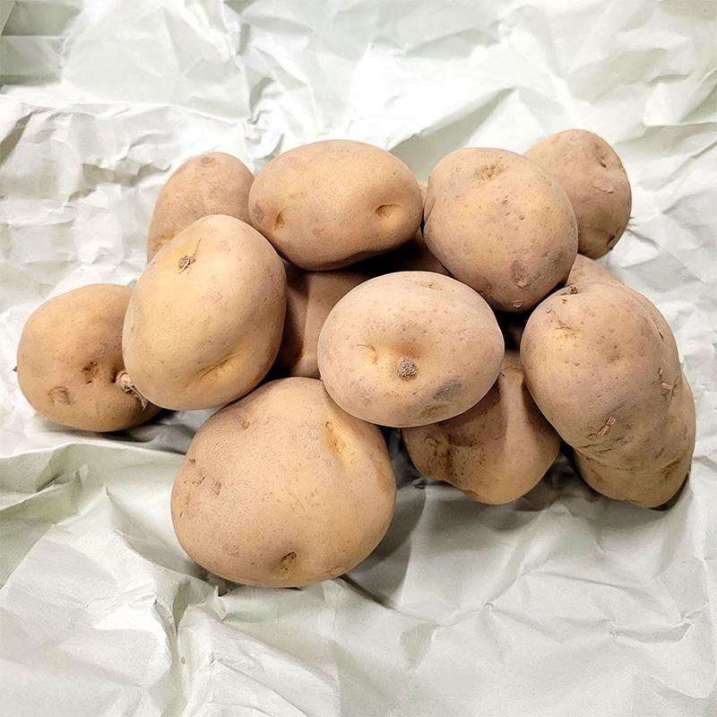 3kg 種芋 男爵 M玉 ジャガイモ じゃがいも栽培用 吉S DZ (登録品種名:男爵) | 