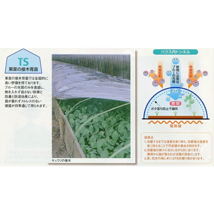 特注 3.00×40m 内張 TS 太陽 光反射 シート ピアレスフィルム 水稲 育苗 べた掛け カ施 代引不可 |  | 02