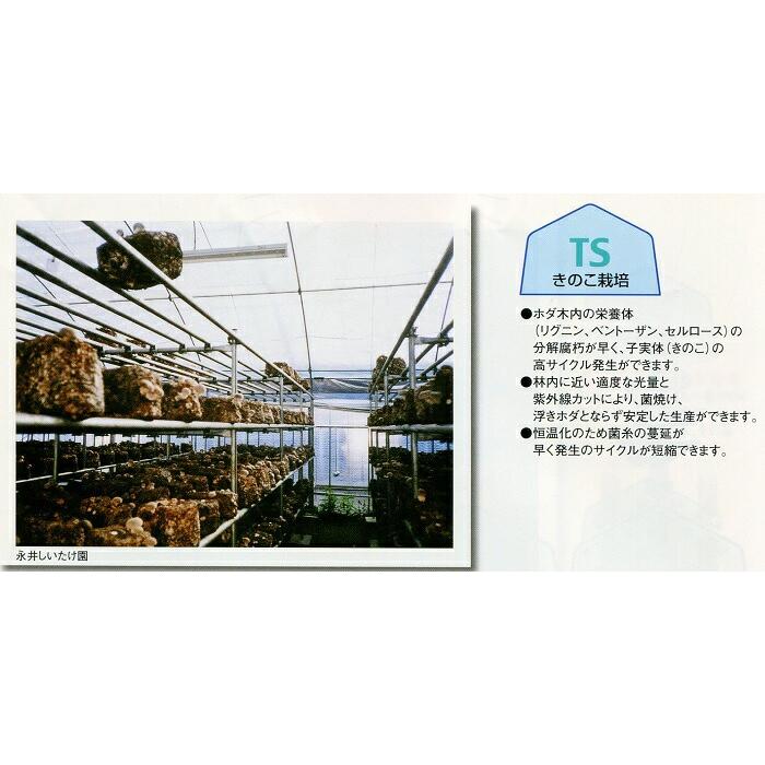 特注 3.00×40m 内張 TS 太陽 光反射 シート ピアレスフィルム 水稲 育苗 べた掛け カ施 代引不可 |  | 03