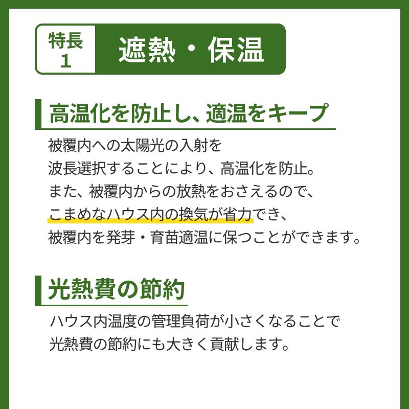 特注 3.00×40m 内張 TS 太陽 光反射 シート ピアレスフィルム 水稲 葉菜 果菜 育苗 べた掛け 潅水作業 省力化 断熱 遮光 保温 防湿性 カ施 代引不可 |  | 04