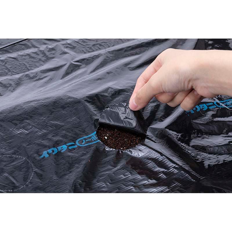 アウトレット イワタニ 菜園用 フリーホール 黒マルチ 0.02mm×135cm×50m マルチ 日A DZ | 岩谷マテリアル | 02