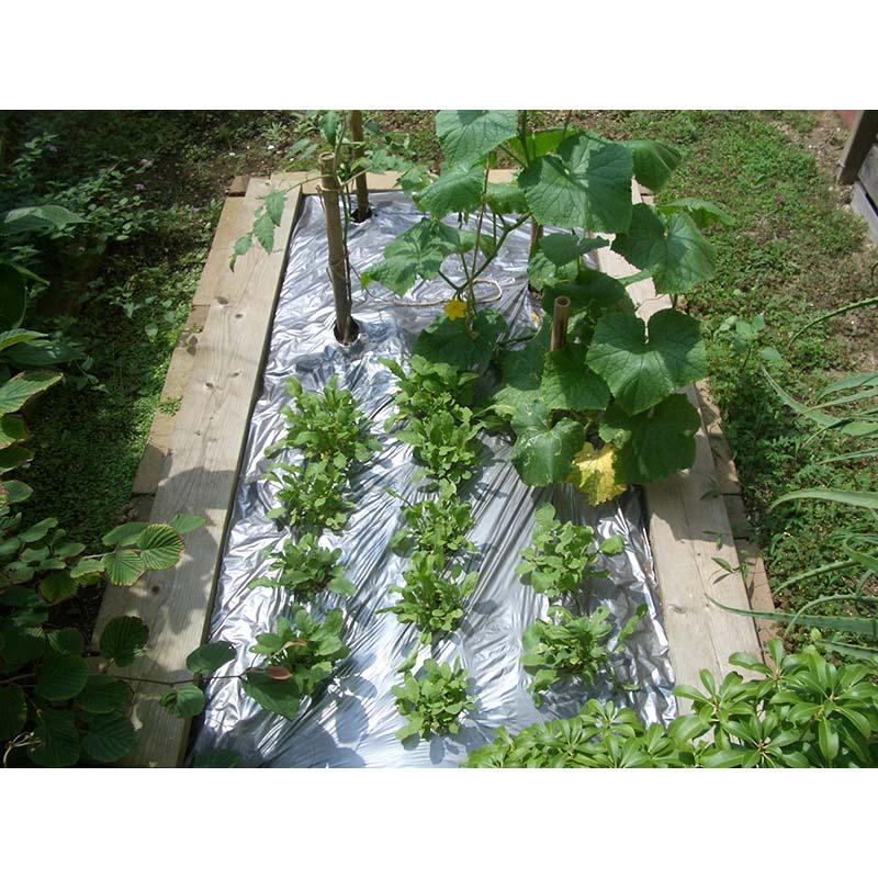 アウトレット 銀 フリーホール 防虫 シルバー マルチ 0.02mm×95cm×50m イワタニ 日A DZ |  | 04