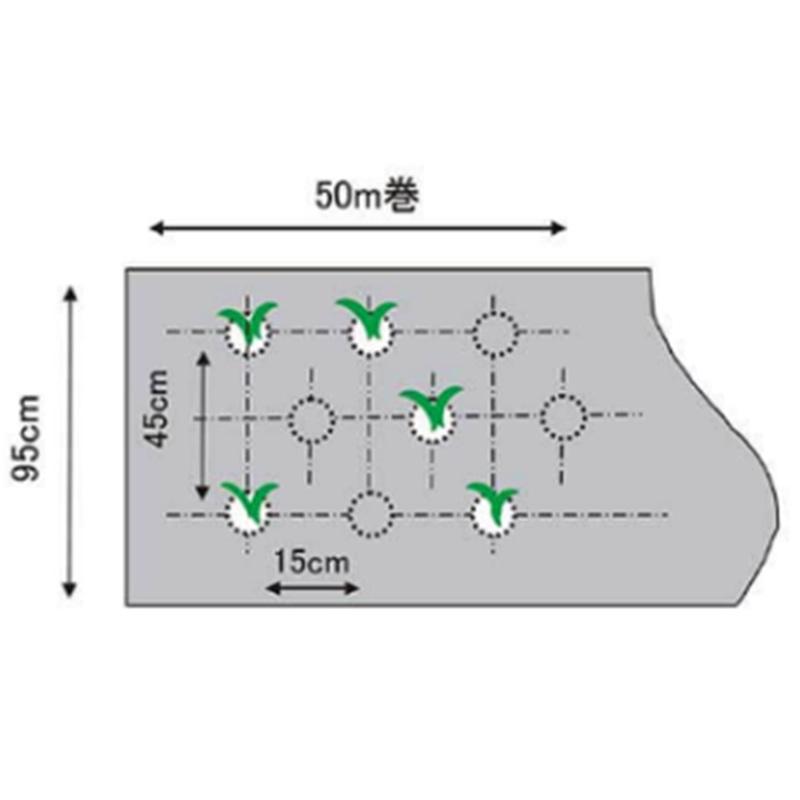 アウトレット イワタニ 菜園用 フリーホール 白黒マルチ 0.02mm×95cm×50m マルチ 日A DZ |  | 04