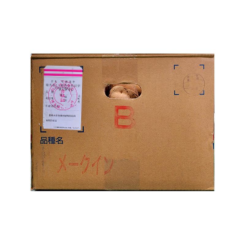 ＼大特価／ 1kg 種芋 メークイン 混玉 B品 ジャガイモ じゃがいも栽培用 吉S DZ |  | 03