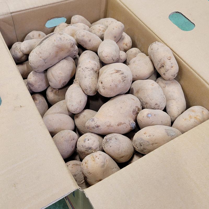 5kg 種芋 メークイン 混玉 B品 ジャガイモ じゃがいも栽培用 吉S DZ |  | 02