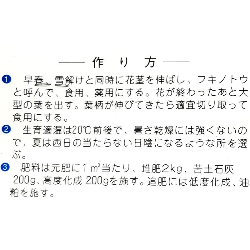 1袋 1〜2株 栽培用 ふき ふきのとう 山ぶき ふうき 山野草 野草 山菜 球根 種用 吉S DZ |  | 02
