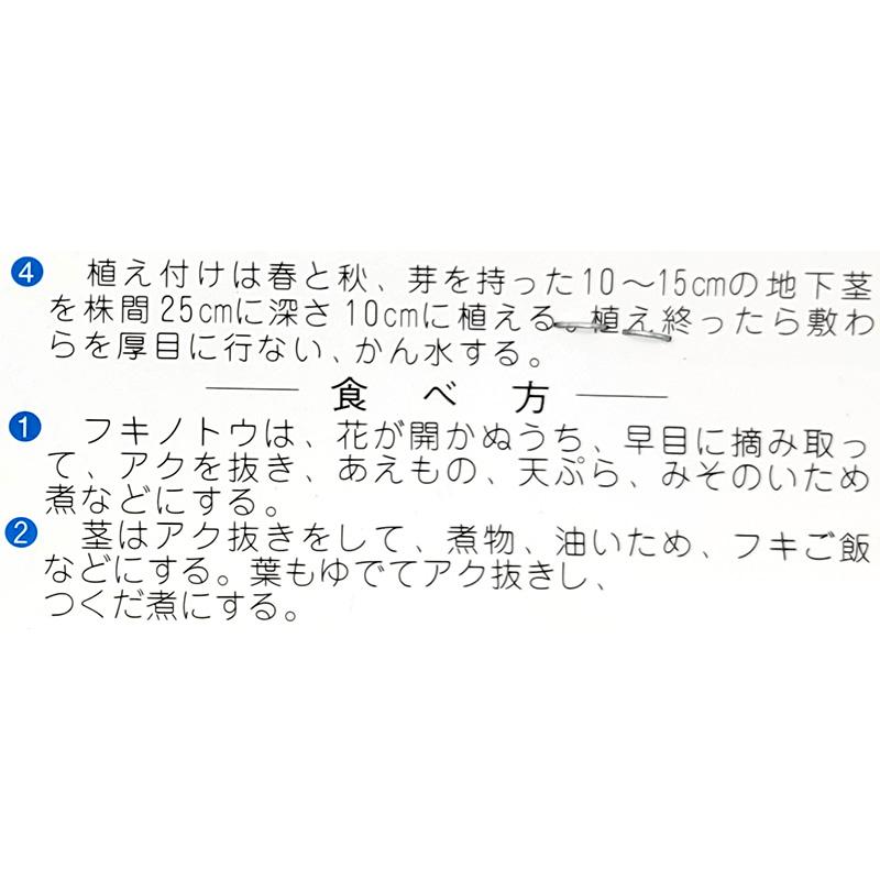 1袋 1〜2株 栽培用 ふき ふきのとう 山ぶき ふうき 山野草 野草 山菜 球根 種用 吉S DZ |  | 03