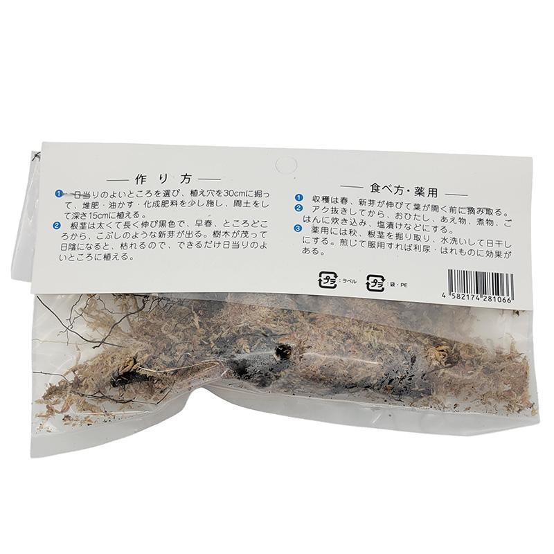 1袋 2株 栽培用 わらび 蕨 ワラビ 山野草 野草 山菜 球根 種用 吉S DZ |  | 01