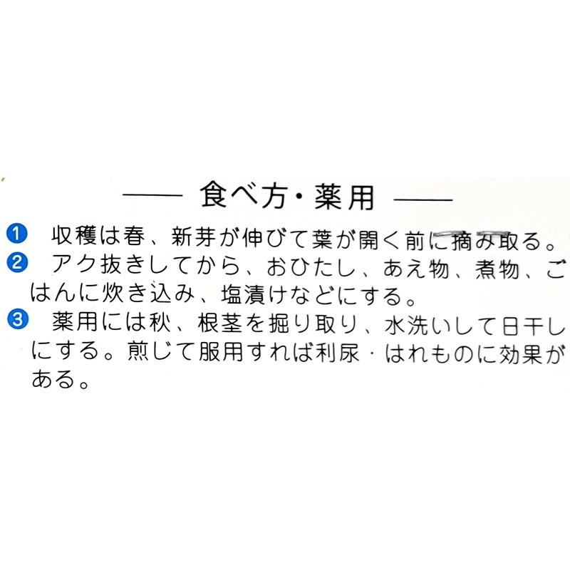 1袋 2株 栽培用 わらび 蕨 ワラビ 山野草 野草 山菜 球根 種用 吉S DZ |  | 03