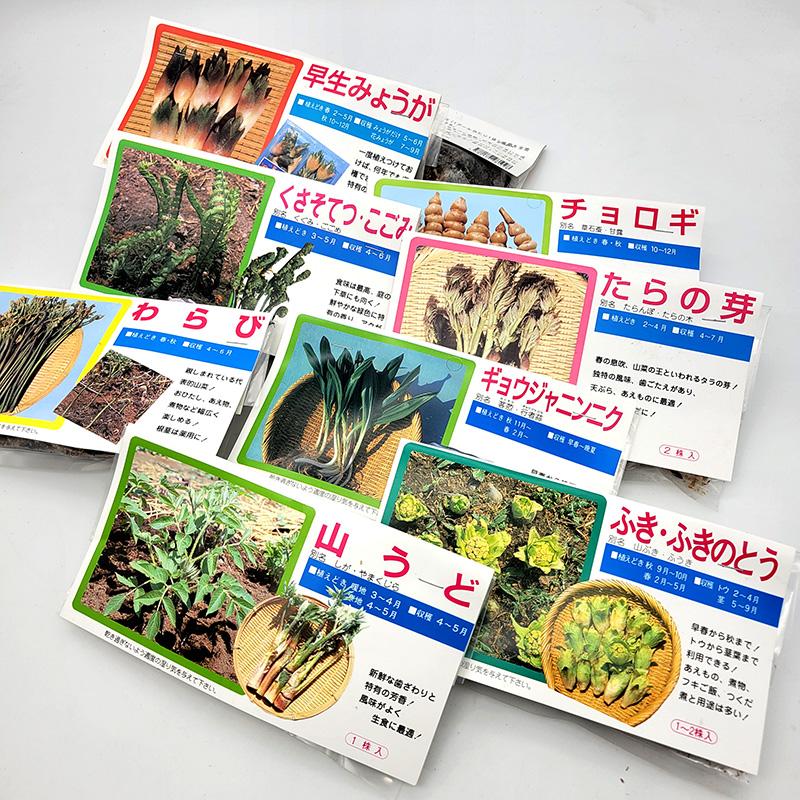 1袋 2株 栽培用 わらび 蕨 ワラビ 山野草 野草 山菜 球根 種用 吉S DZ |  | 04