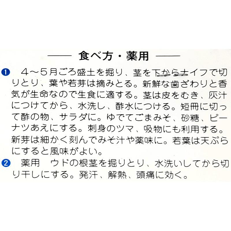 1袋 1株 栽培用 山うど しが やまくじら 山野草 野草 山菜 球根 種用 吉S DZ |  | 03