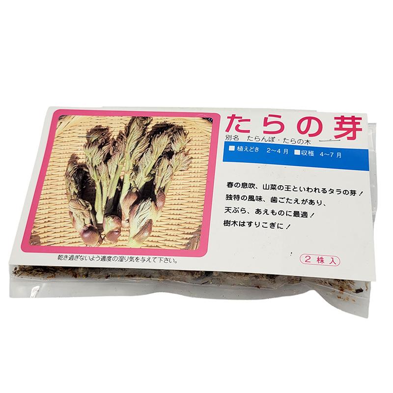 1袋 2株 栽培用 たらの芽 たらんぼ たらの木 山野草 野草 山菜 球根 種用 吉S DZ | 