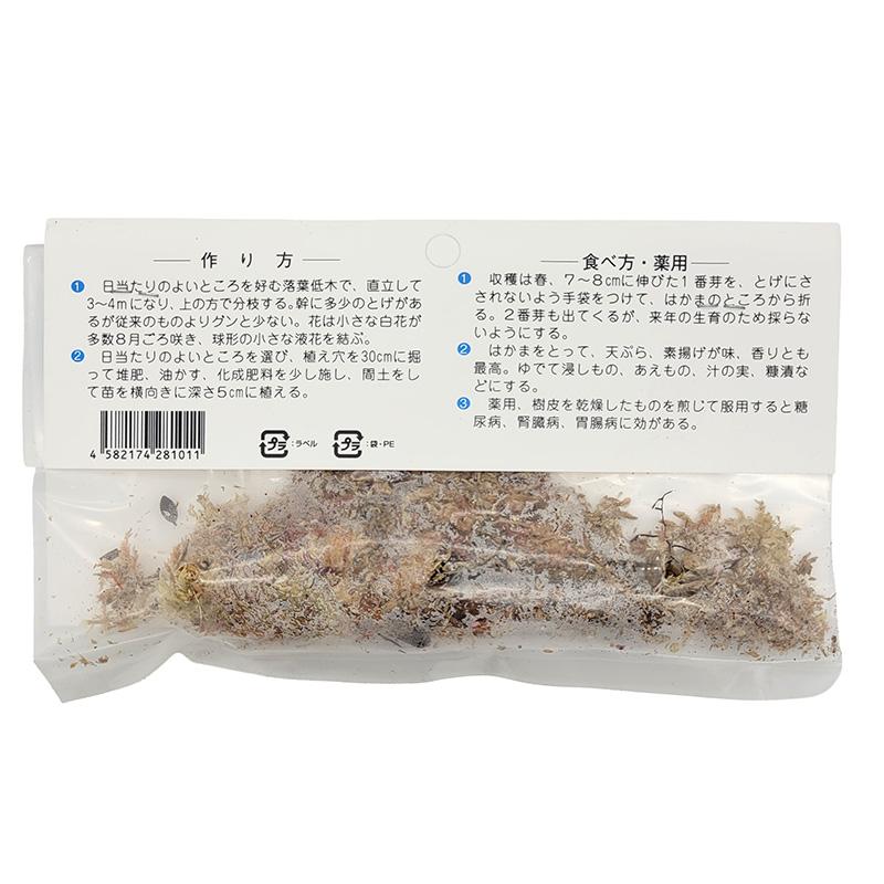 1袋 2株 栽培用 たらの芽 たらんぼ たらの木 山野草 野草 山菜 球根 種用 吉S DZ |  | 01