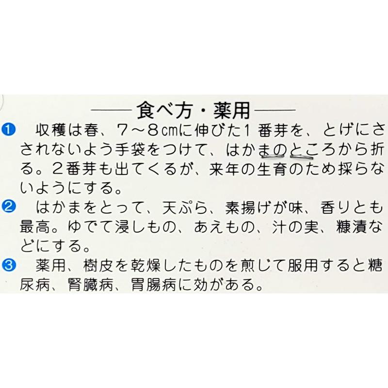 1袋 2株 栽培用 たらの芽 たらんぼ たらの木 山野草 野草 山菜 球根 種用 吉S DZ |  | 03