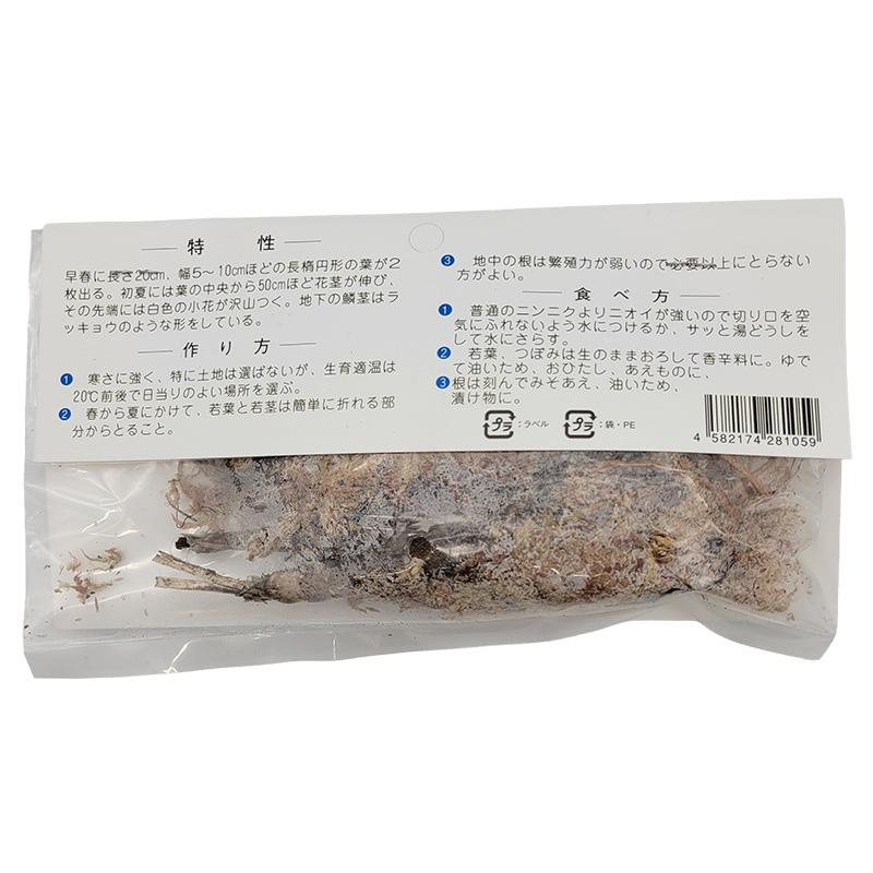 1袋 3球 栽培用 ギョウジャニンニク 茖葱 行者蒜 山野草 野草 山菜 球根 種用 吉S DZ |  | 01