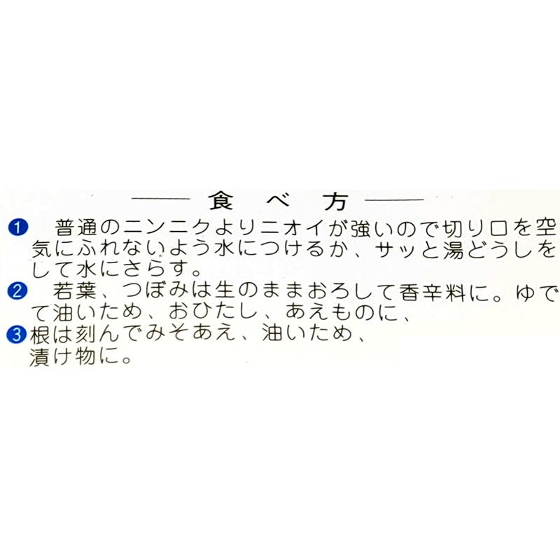 1袋 3球 栽培用 ギョウジャニンニク 茖葱 行者蒜 山野草 野草 山菜 球根 種用 吉S DZ |  | 03