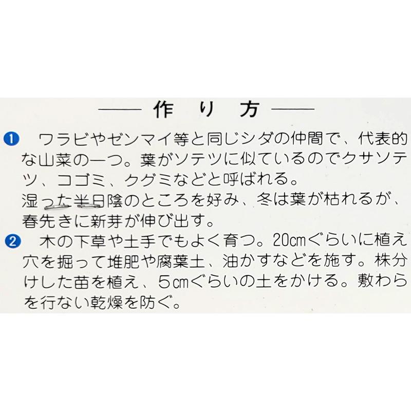 1袋 1株 栽培用 くさそてつ こごみ くぐみ こごめ 長老喜 山野草 野草 山菜 球根 種用 吉S DZ |  | 02