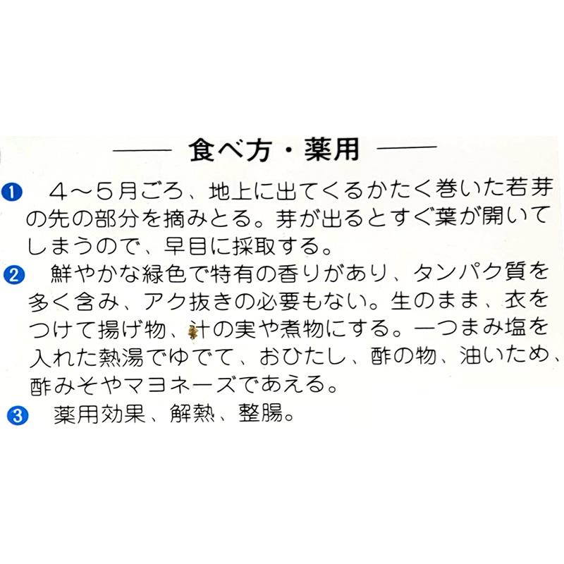 1袋 1株 栽培用 くさそてつ こごみ くぐみ こごめ 長老喜 山野草 野草 山菜 球根 種用 吉S DZ |  | 03