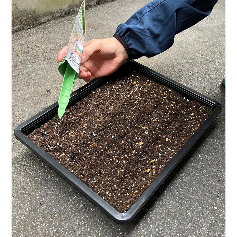 種まきサポート ミントグリーン 小粒種子用 明和 タネ袋 播種 種蒔き 家庭菜園 DZ |  | 04