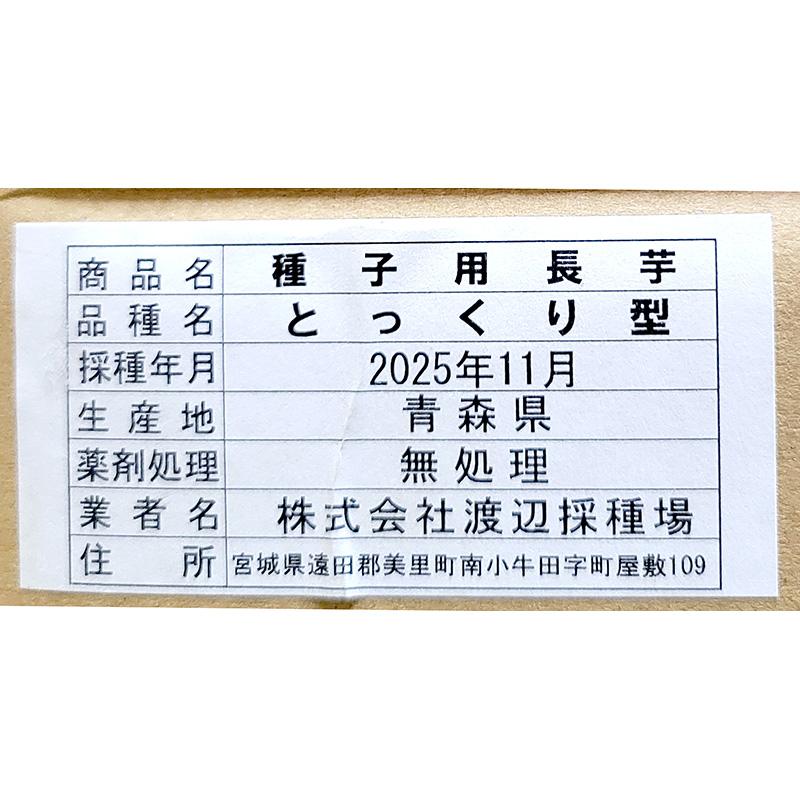 ＼大特価／ 20本 種芋 とっくり長芋 Mサイズ 種子用長芋 とっくり型 栽培用 吉S DZ |  | 02