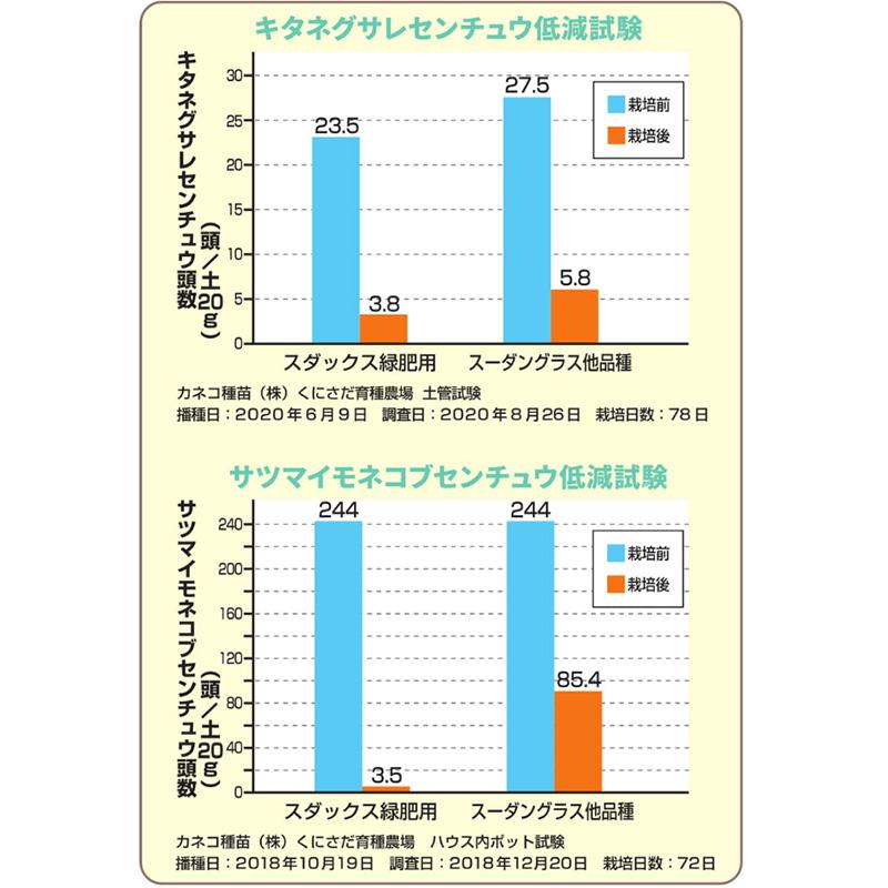 種 10kg スダックス緑肥用 ソルガム カネコ種苗 緑肥 春播き 夏播き 線虫低減 硬盤破砕 防風 除塩 カ緑 代引不可 |  | 04