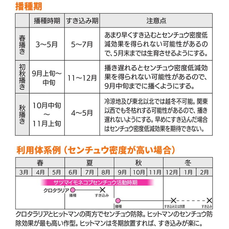 種 1kg ヒットマン エンバク カネコ種苗 緑肥 春播き 秋播き 線虫低減 硬盤破砕 防風 敷ワラ カ緑 代引不可 |  | 02